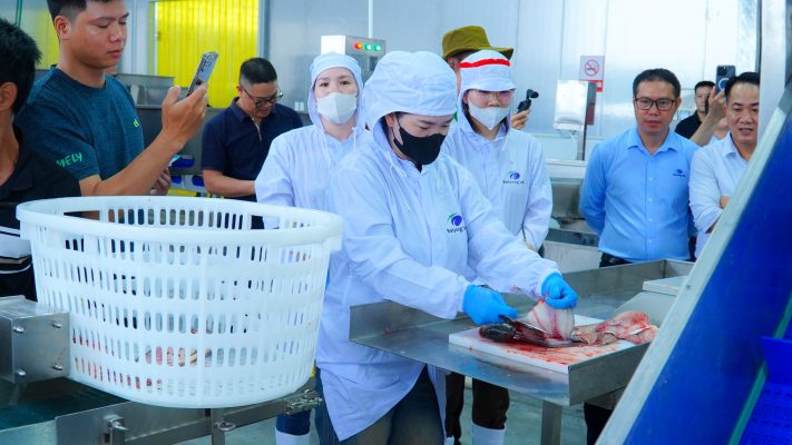 VIỆT NHẬT - BAIYANG CHÍNH THỨC KHỞI ĐỘNG DÂY CHUYỀN CHẾ BIẾN CÁ RÔ PHI XUẤT KHẨU