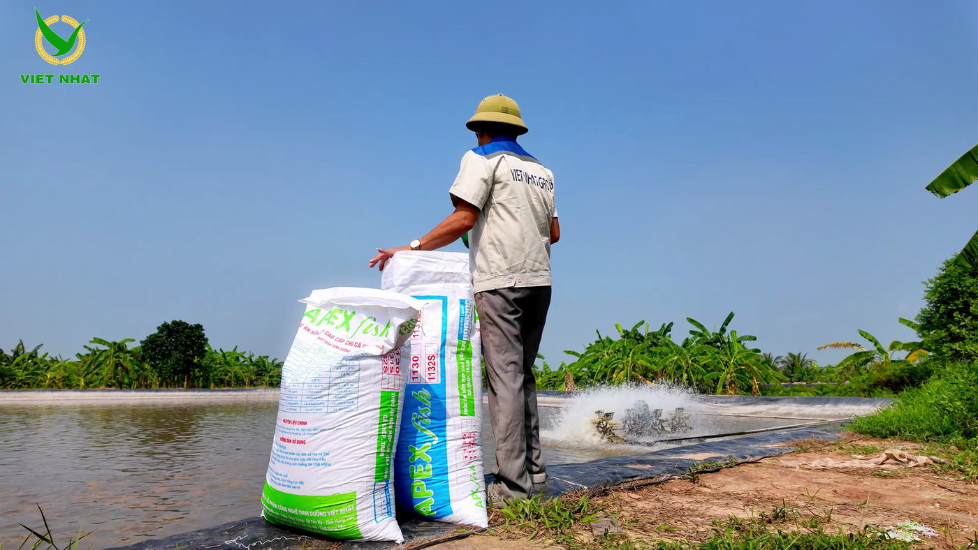Thức ăn hỗn hợp dành cho cá nước ngọt APEX Fish - Viet Nhat Group
